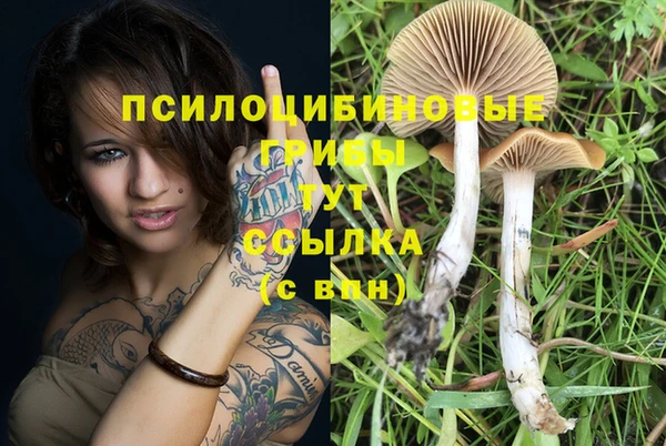 apvp Баксан