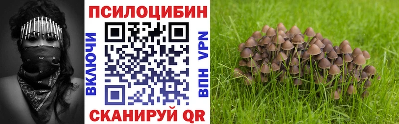 Псилоцибиновые грибы мицелий Николаевск-на-Амуре